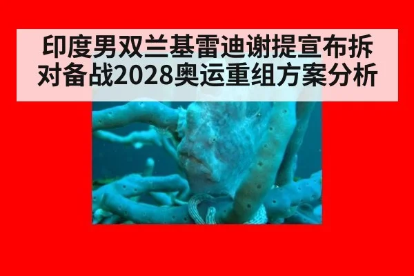 印度男双兰基雷迪谢提宣布拆对备战2028奥运重组方案分析