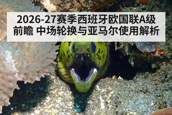 2026-27赛季西班牙欧国联A级前瞻 中场轮换与亚马尔使用解析